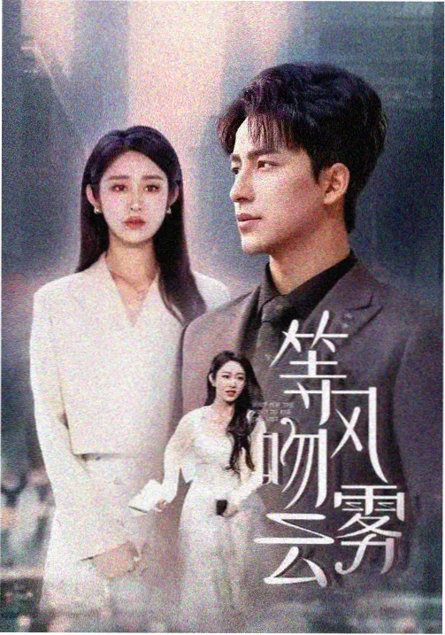 精品91久久久 美丽人生 催泪经典